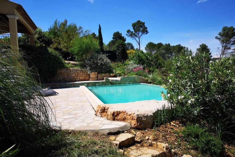 PISCINE VEGETATION 2-1024x768