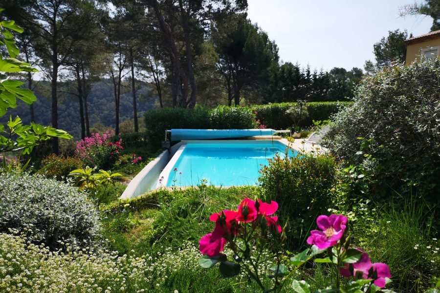 piscine et fleurs